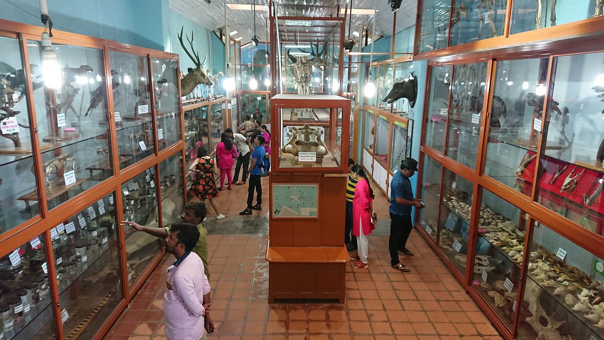 Shenbaganur Museum